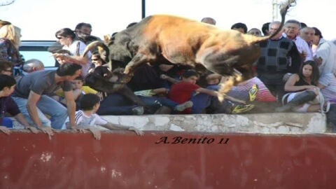 El toro de Longares