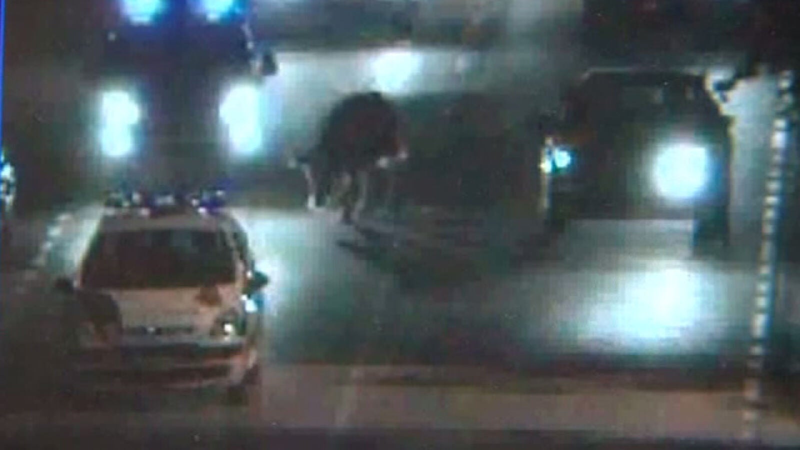 Una vaca se escapa de su granja y camina varios kilómetros en busca de su antigua casa
