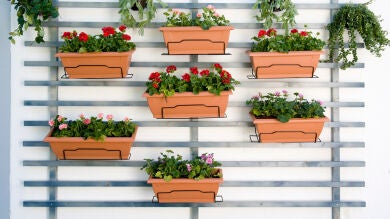 Crea un jardín vertical para espacio reducidos