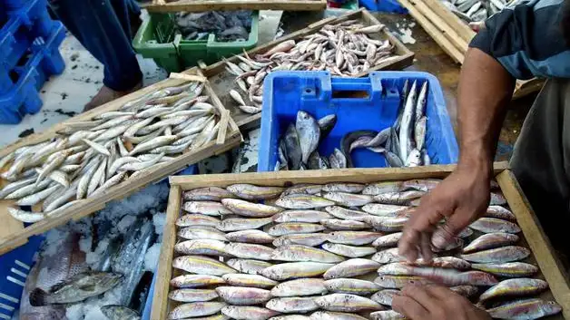 Pescadores 