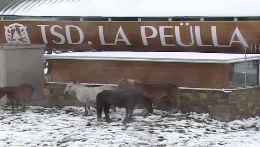 Nevadas en Junio