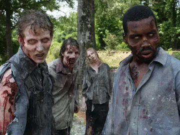 The Walking Dead The Walking Dead