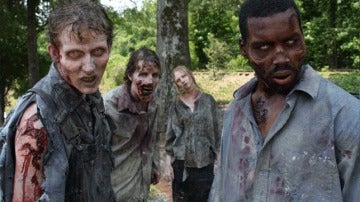 The Walking Dead