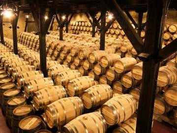 Bodegas