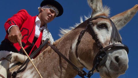 Caramelo, el burro caballo