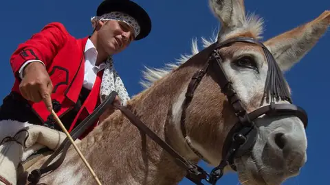 Caramelo, el burro caballo Caramelo, el burro caballo