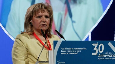 La AVT considera la entrada de Bildu a los ayuntamientos un retroceso de 30 años