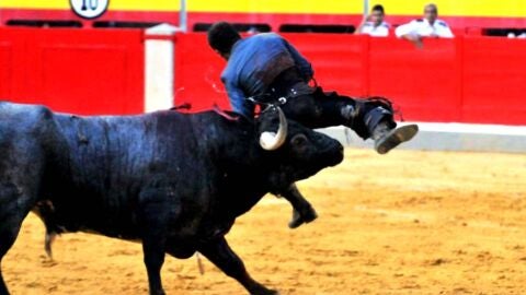 Cogida del rejoneador Sergio Vegas