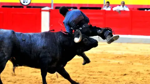 Cogida del rejoneador Sergio Vegas Cogida del rejoneador Sergio Vegas