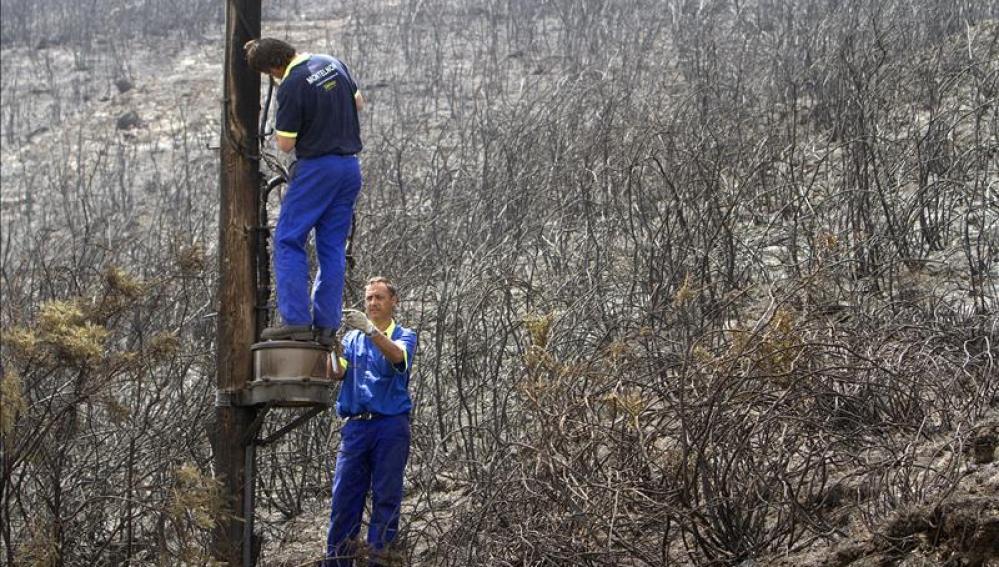 Controlado el incendio de Ribeira de Piquín