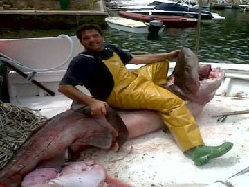 Depredador pescado (06-07-2011)