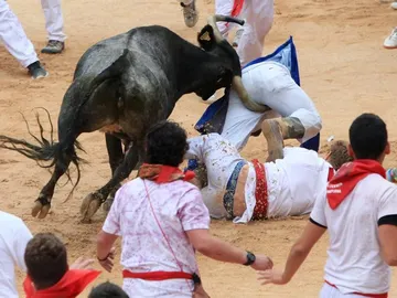 Vaquilla acomete contra los mozos en la plaza Vaquilla acomete contra los mozos en la plaza