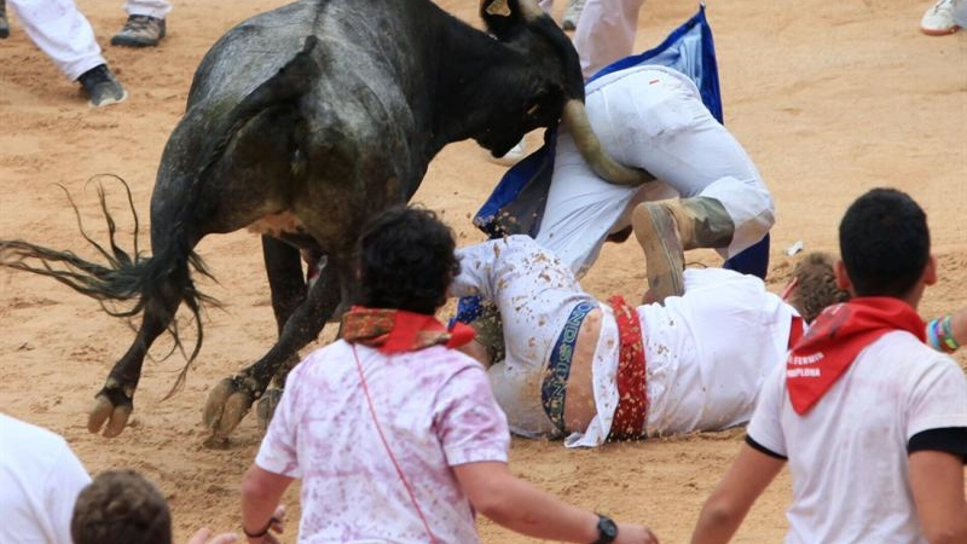 Vaquilla acomete contra los mozos en la plaza