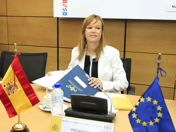 Leire Pajin, exministra de Sanidad Leire Pajin, exministra de Sanidad