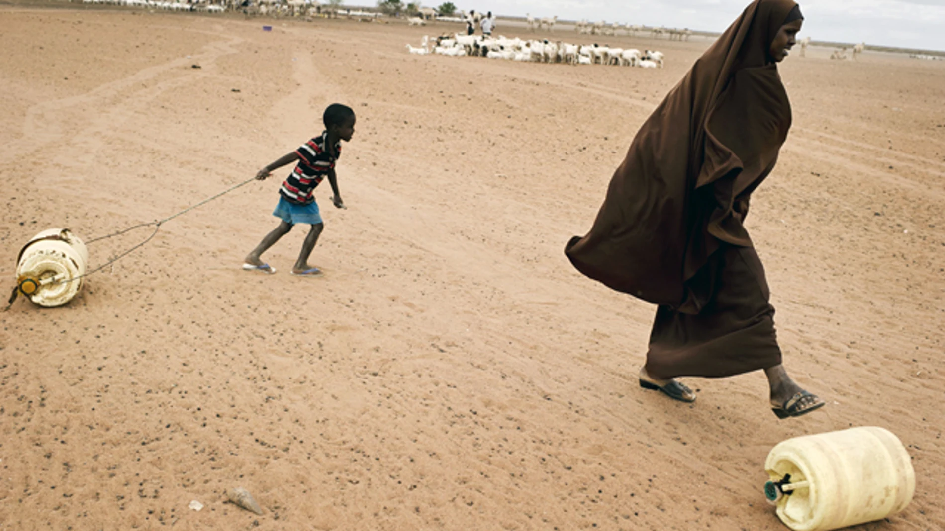 Campaña contra la hambruna en el Cuerno de África Campaña contra la hambruna en el Cuerno de África