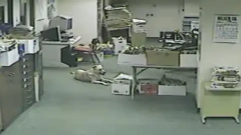 Antes del terremoto Antes del terremoto