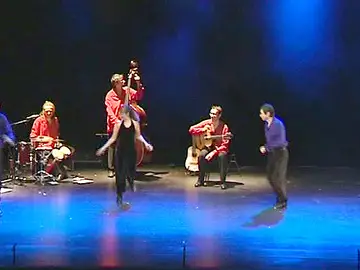 Fusión de flamenco y claqué Fusión de flamenco y claqué