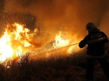 Nombran concejal de Medio Ambiente a un edil condenado por incendio forestal Nombran concejal de Medio Ambiente a un edil condenado por incendio forestal