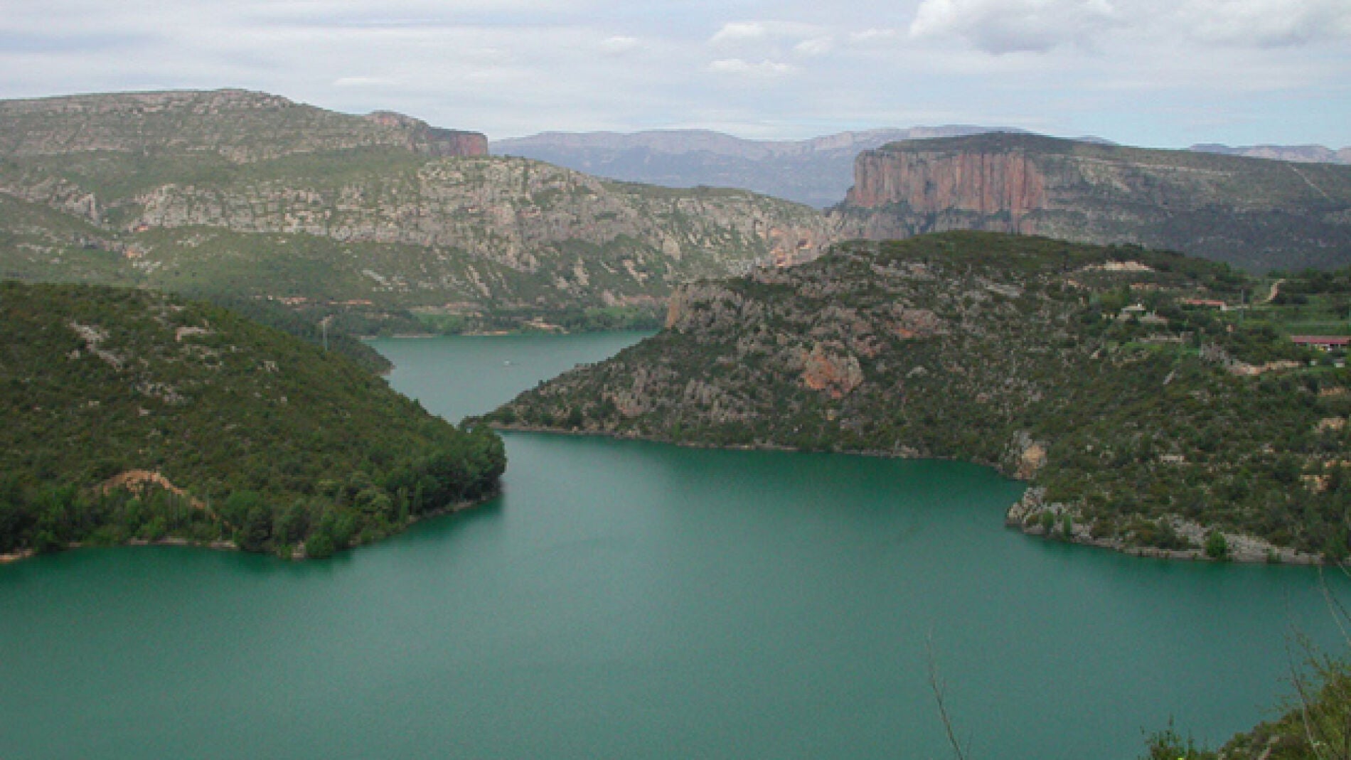 Un estudio cient&iacute;fico a&iacute;sla personas en el bosque para tratar enfermedades
