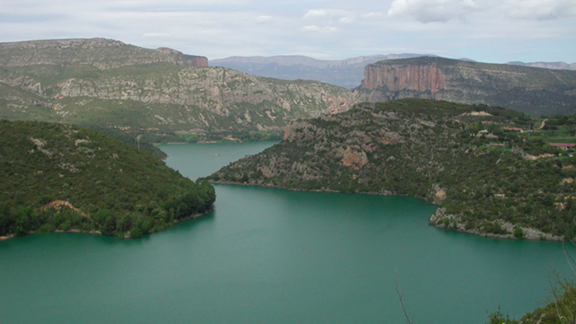 Un estudio científico aísla personas en el bosque para tratar enfermedades Un estudio científico aísla personas en el bosque para tratar enfermedades