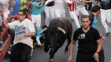 Segundo encierro rápido y limpio en Sanse