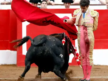 José Tomás José Tomás