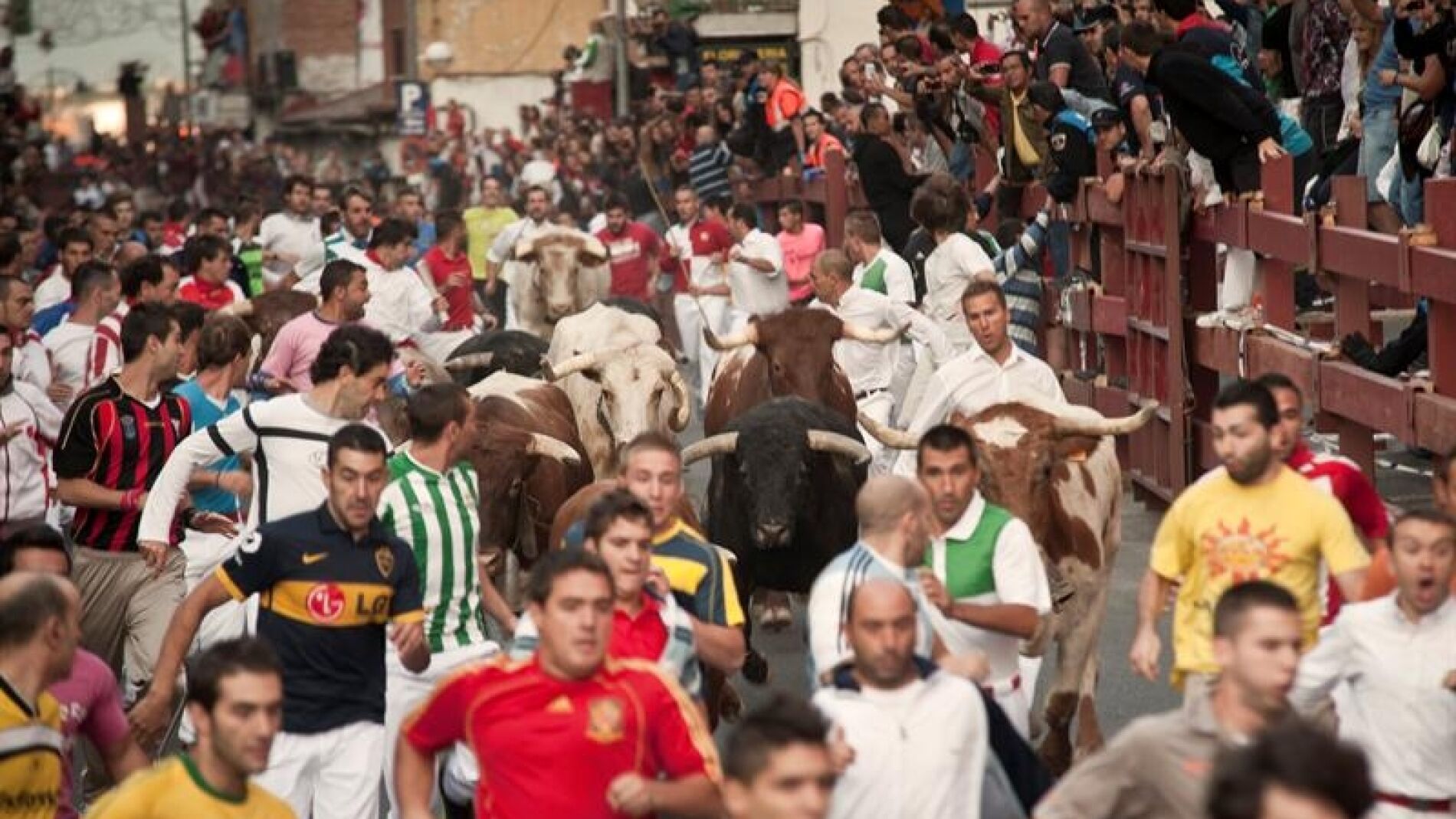 Toros de José Luis Marca en el último encierro