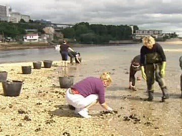 500 pescadores furtivos expulsados de A Coruña