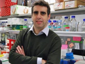 El Director del Programa de Epigenética y Biología del Cáncer, Manel Esteller.