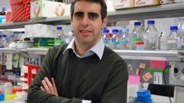 El Director del Programa de Epigenética y Biología del Cáncer, Manel Esteller.