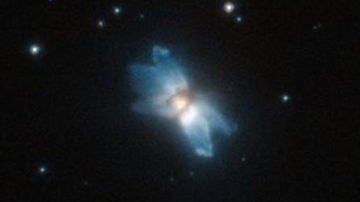 Hubble encuentra una estrella de mar espacial
