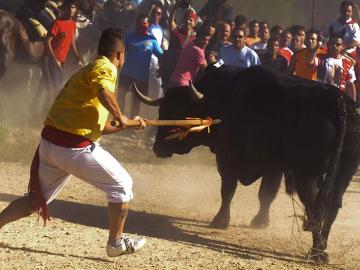 Polémica en el Toro de la Vega