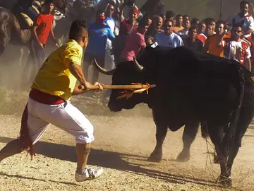Polémica en el Toro de la Vega Polémica en el Toro de la Vega
