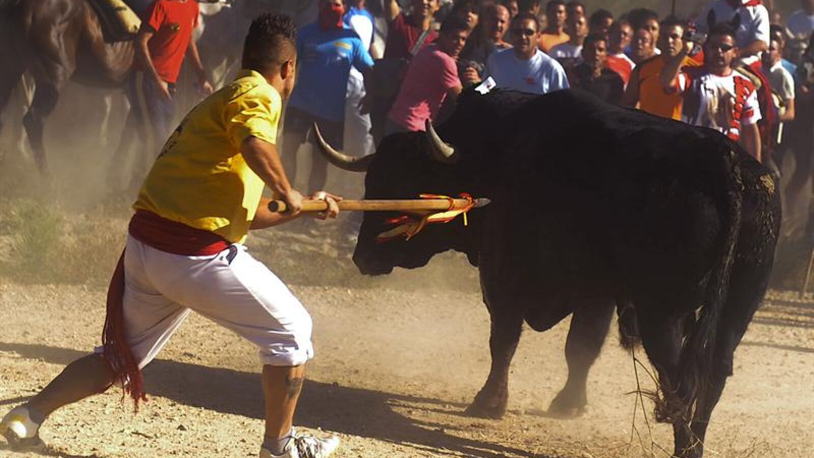Una activista, detenida durante la celebración del Toro de la Vega