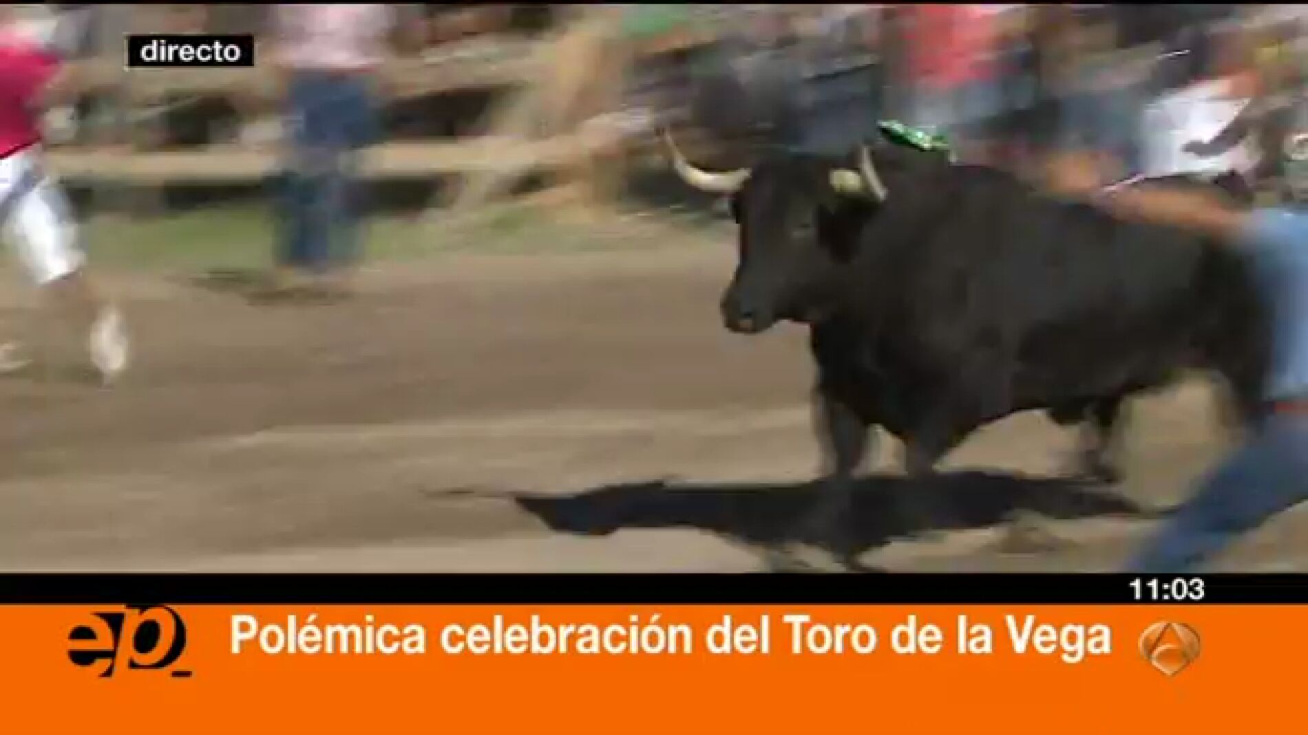 Toro de la Vega