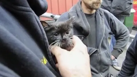 Salvan a un gato que llevaba atrapado dos días en Suecia Salvan a un gato que llevaba atrapado dos días en Suecia