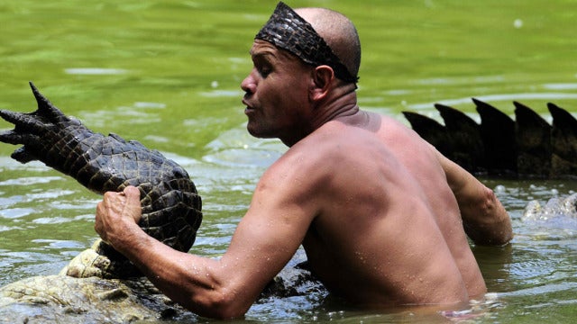 Pocho, un cocodrilo de 445 kilos, el mejor amigo de un pescador  costarricense