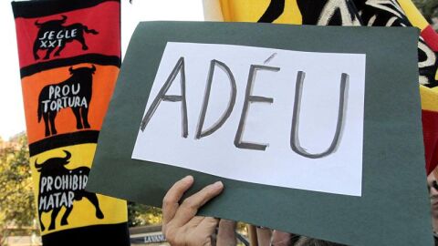 Manifestaciones alrededor de la plaza de toros