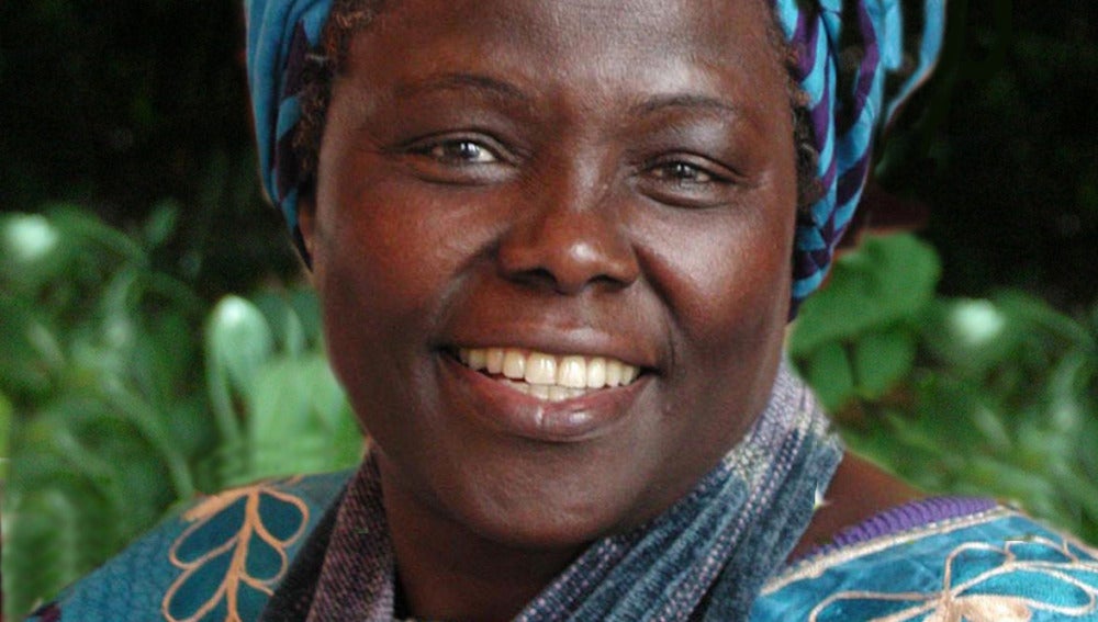 Fallece Wangari, Premio Nobel de la Paz 2004