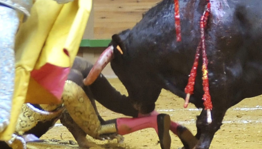  El novillero gaditano Galván sufre una fuerte conmoción tras una cornada