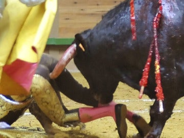  El novillero gaditano Galván sufre una fuerte conmoción tras una cornada
