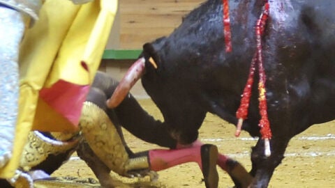  El novillero gaditano Galv&aacute;n sufre una fuerte conmoci&oacute;n tras una cornada