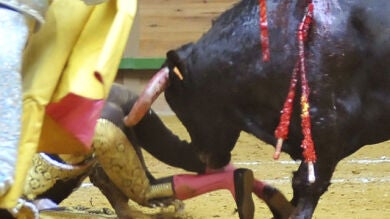 El novillero gaditano Galván sufre una fuerte conmoción tras una cornada 