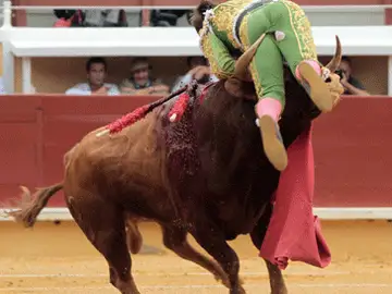 Cogida de El Juli en Bayona Cogida de El Juli en Bayona