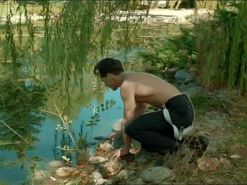 Julio en el lago Julio en el lago