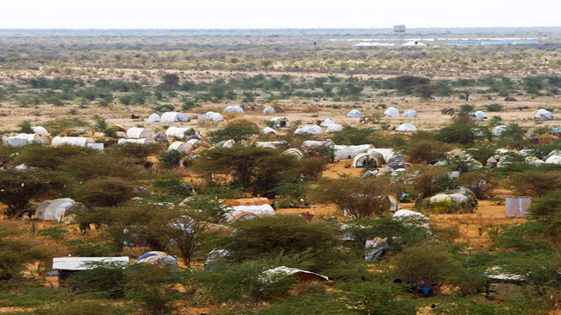 Imagen de archivo del campo de refugiados de Dadaab, al noreste de Kenia. Imagen de archivo del campo de refugiados de Dadaab, al noreste de Kenia.