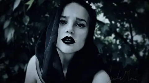 The Widow The Widow