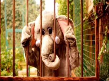 Último videoclip de Coldplay. Último videoclip de Coldplay.