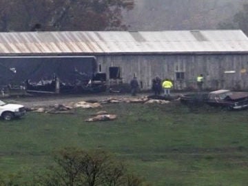 Imagen de la reserva animal del suicida de Ohio.