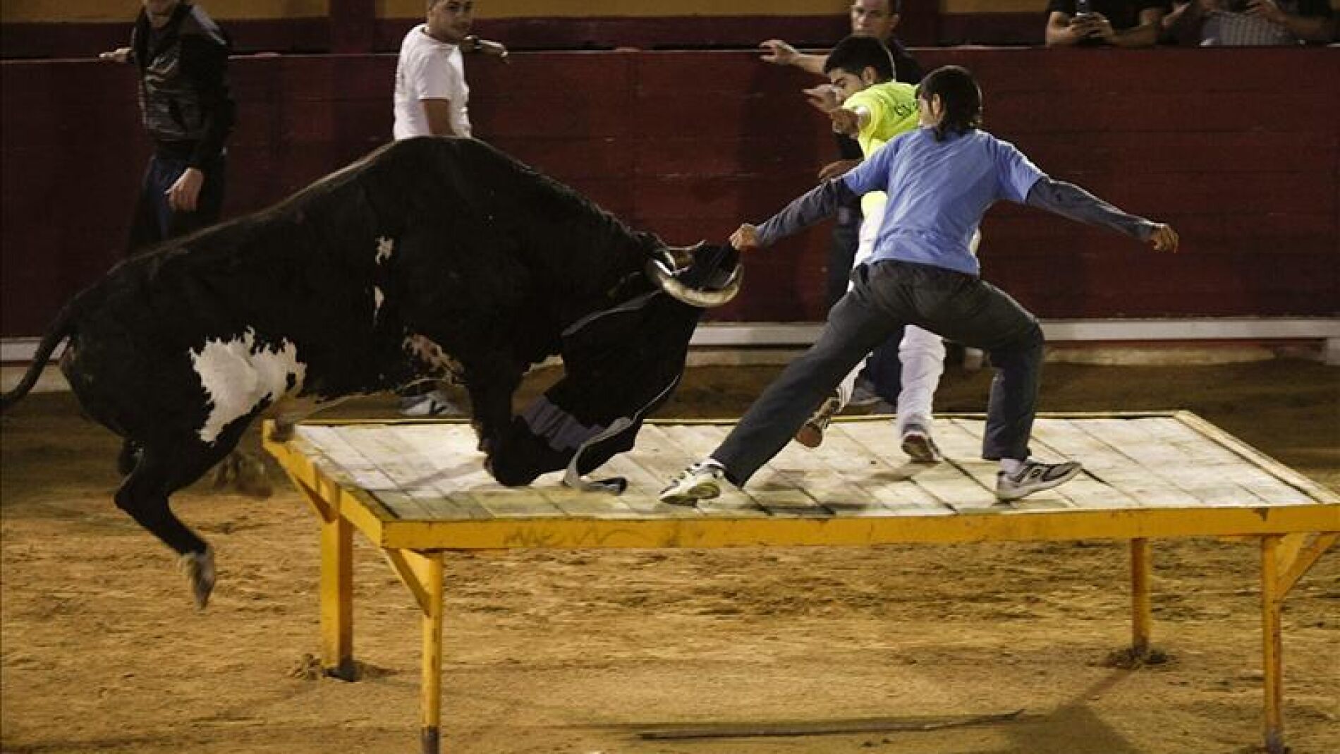 El toro 'Rat&oacute;n' en Vinar&ograve;s
